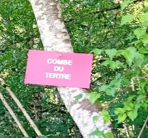 Combe et recombe Francheville - Curtil-Saint-Seine - 2