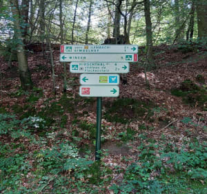 Circuit vélo transfrontalier depuis Lembach - Anastasie - 3