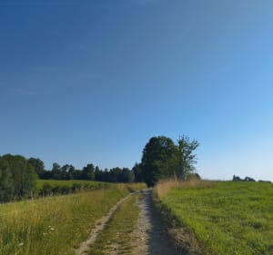 Boucle du plateau des Bornes passage par chez Trosset - Menthonnex-en-Bornes - 2