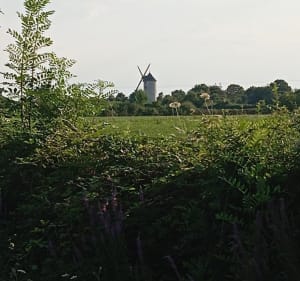 Sentier du Moulin - Campbon - 2