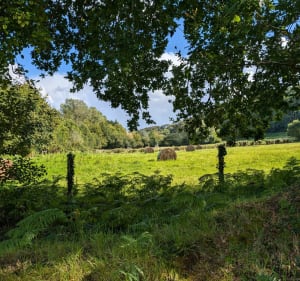 Balade entre marais de Trestel et étang - Trévou-Tréguignec - 2