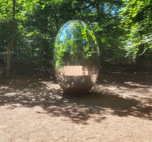 Petite boucle en forêt monumentale de Canteleu - Canteleu - 2
