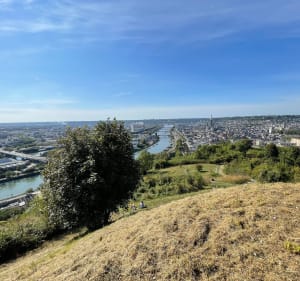 Rouen c’est vert - Sotteville-lès-Rouen - 2
