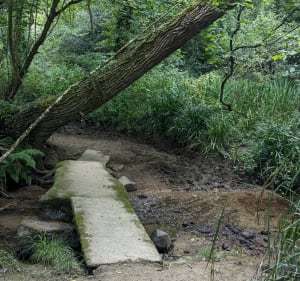 Hauteurs de Saint-Michel-en-Grève et bord du Kerdu - Saint-Michel-en-Grève - 2