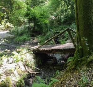 Autour de Saint Nicolas des Eaux - Pluméliau-Bieuzy - 2