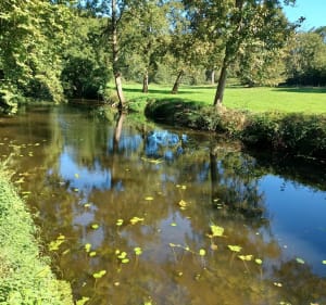 Boucle autour du Fief-Sauvin - Montrevault-sur-Èvre - 4