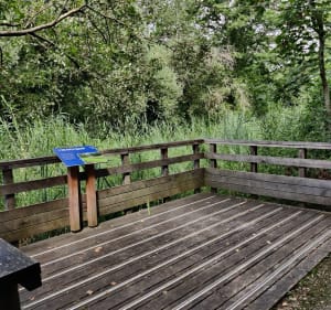Forêts et étangs de Cesson - Cesson - 2