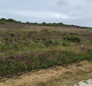 Bretteville vers forêt, mer et campagne - Bretteville - 2