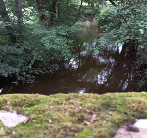 Boucle de Saint-Laurent-sur-Gore - Saint-Laurent-sur-Gorre - 4