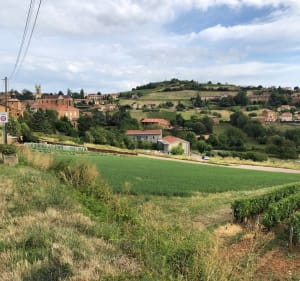 Pouilly Le Monial - Ville Sur Jarnioux - Cogny - Denice - Nicolas - 3