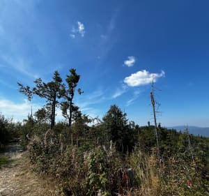 Biegowo na Średni Groń - Tylmanowa - 2