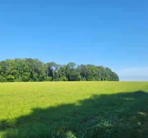 Atour de Saint-Fiacre par Brinches et Villemareuil - Saint-Fiacre - 2