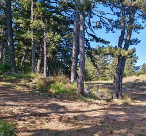 Vigie du Ferion - Levens - 2