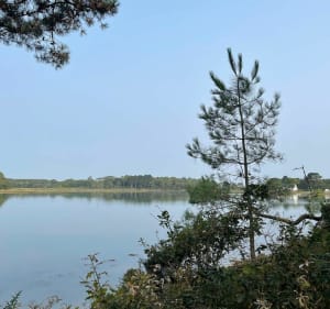 La ria d'Etel, entre sous-bois et bras de mer - Locoal-Mendon - 2