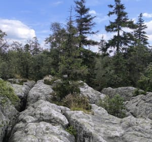Bledne skały - szlakiem niesamowitych formacji skalnych - Kudowa-Zdrój - 3