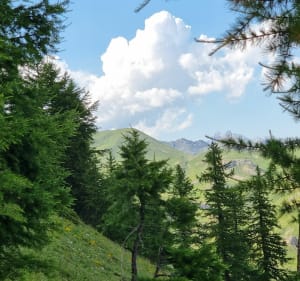 Vers la croix d'Aquila - Puy-Saint-André - 2