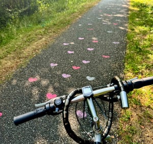 Balade entre amis de Sadirac à Bordeaux - Sadirac - 2