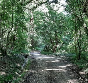 Sentier du menhir, départ de Druye - Druye - 2