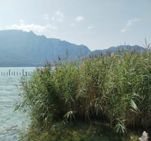 De la colline du poète au lac à Tresserve - Tresserve - 2