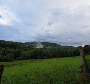 Boucle du Mont Larron - mickael - 4