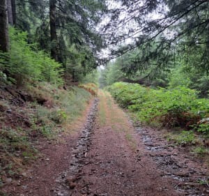 Boucle du Mont Larron - Saint-Julien-le-Petit - 2