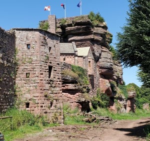 Alentours de Saverne - Saverne - 2