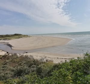 Dune du mont Saint Frieux - Dannes - 2