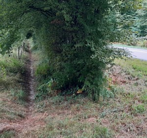Chalamont, les 4 chemins, étangs de la Dombes - Chalamont - 2