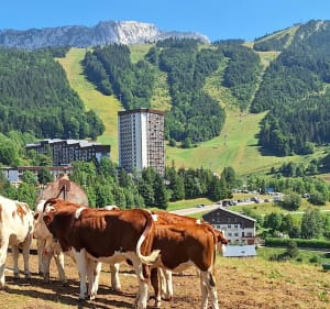 Tour de Villard de Lans par les Clots et les Glovettes - Villard-de-Lans - 2