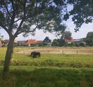 Rondje in het landschap rondom Dordrecht - Dordrecht - 2