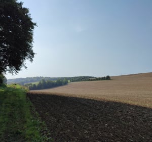 Moulins, forêt, vignobles en Haut de France - DOMINIQUE - 3