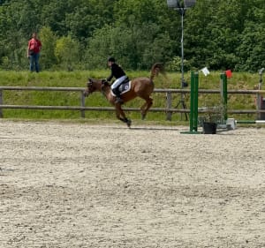 Villeneuve d’Ascq - Haras du Melantois - Villeneuve-d'Ascq - 2