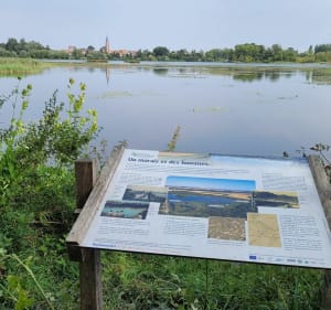 Les marais d'Ecourt St Quentin - Oisy-le-Verger - 2