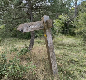 Les 3 Cols du Céans - Étoile-Saint-Cyrice - 2
