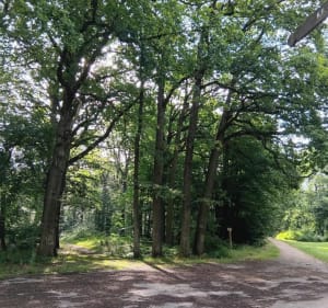 Balade autour de Bruyères - Bruyères-sur-Oise - 2