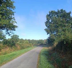 Circuit des haies du bocage depuis Neau - Neau - 2