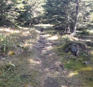 Tour du plateau de l'Arselle - Jose - 3