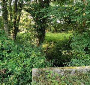 Balade entre deux rives Poiré sur Vie - Le Poiré-sur-Vie - 2