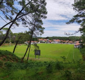 Forêt Pignada par le Pavillon Chinois - Anglet - 2