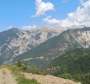 Randonné à travers les bois.  La rando 4 de Risoul - Risoul - 2