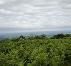 Ursuia en VTT - Hasparren - 3