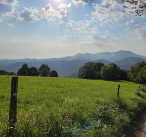 Arbon circuit de Campels vue sur le Cagire - Arbon - 2