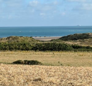 Tardingem les berliques - BRUNO - 3