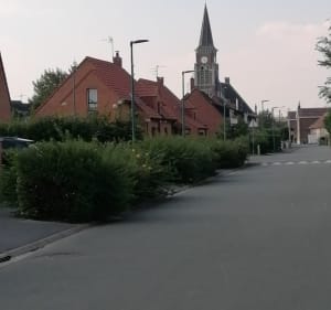 Randonnée dans la campagne de Marquillies - Marquillies - 2