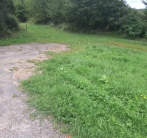 Petite rando dans les bois de Saint Sernin - Saint-Sernin-du-Bois - 2