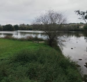 Villemoisson - Brétigny entre ville et rivière - Henry - 2