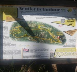 Sentier Botanique autour de Beaumont - Beaumont - 2