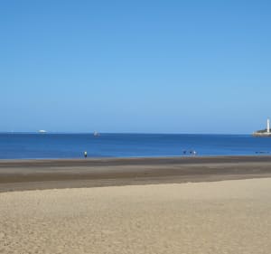 Entre champs forêt et plage - Saint-Georges-de-Didonne - 2