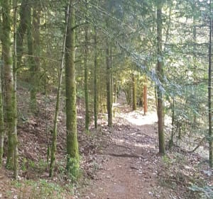 Roches Olima - Sanchey - 2