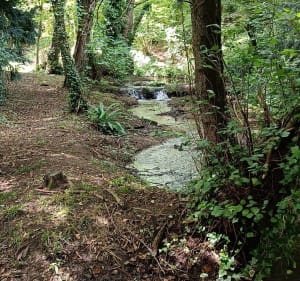 Balade autour de Coquainvillier - Coquainvilliers - 2